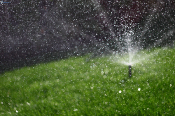 irrigation-lawn-drops-of-water