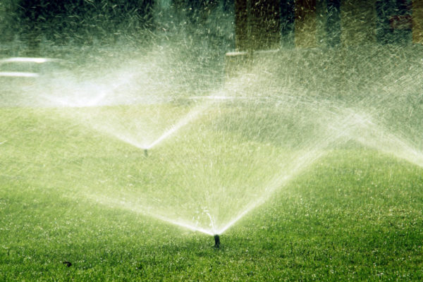 landscape-and-garden-sprinkler-system3