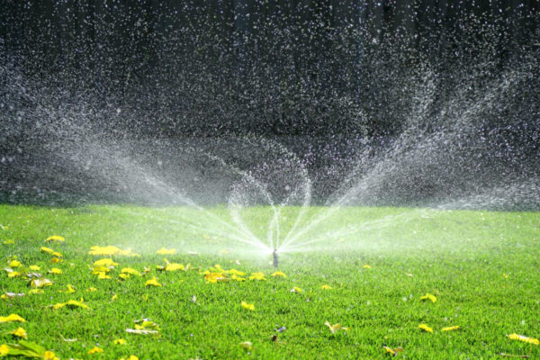 landscape-and-garden-sprinkler-system4